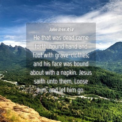 Picture 04 - John 11:44 ASV - He that was dead came forth, bound hand and foot - Bible Verse Picture