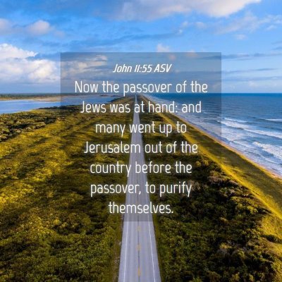 Picture 04 - John 11:55 ASV - Now the passover of the Jews was at hand: and - Bible Verse Picture