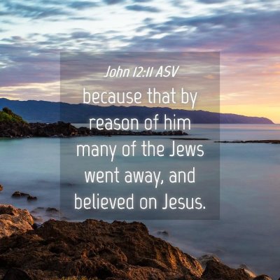 Picture 04 - John 12:11 ASV - because that by reason of him many of the Jews - Bible Verse Picture