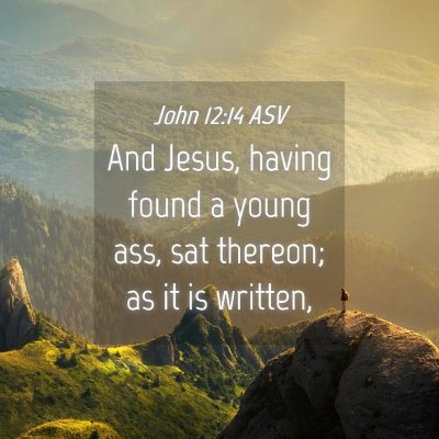 Picture 04 - John 12:14 ASV - And Jesus, having found a young ass, sat thereon; - Bible Verse Picture