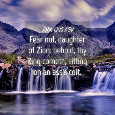 Picture 04 - John 12:15 ASV - Fear not, daughter of Zion: behold, thy King - Bible Verse Picture