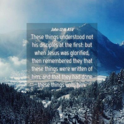 Picture 04 - John 12:16 ASV - These things understood not his disciples at the - Bible Verse Picture