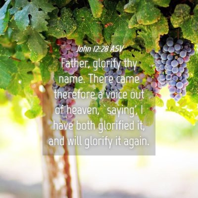 Picture 04 - John 12:28 ASV - Father, glorify thy name. There came therefore a - Bible Verse Picture