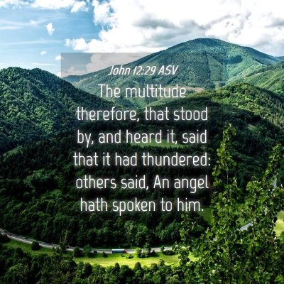 Picture 04 - John 12:29 ASV - The multitude therefore, that stood by, and heard - Bible Verse Picture