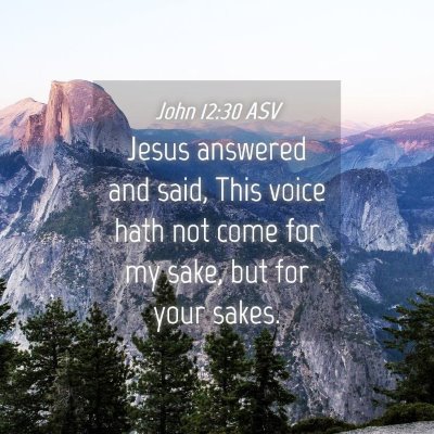 Picture 04 - John 12:30 ASV - Jesus answered and said, This voice hath not come - Bible Verse Picture