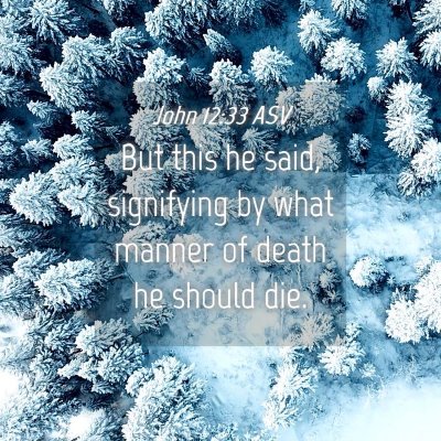 Picture 04 - John 12:33 ASV - But this he said, signifying by what manner of - Bible Verse Picture