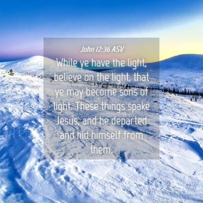 Picture 04 - John 12:36 ASV - While ye have the light, believe on the light, - Bible Verse Picture