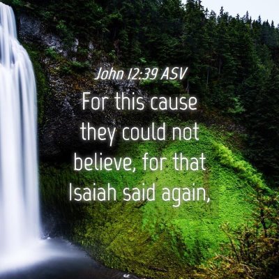 Picture 04 - John 12:39 ASV - For this cause they could not believe, for that - Bible Verse Picture
