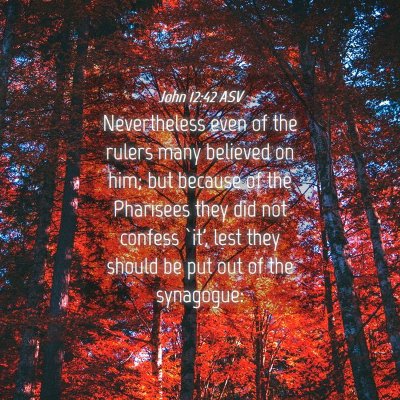 Picture 04 - John 12:42 ASV - Nevertheless even of the rulers many believed on - Bible Verse Picture