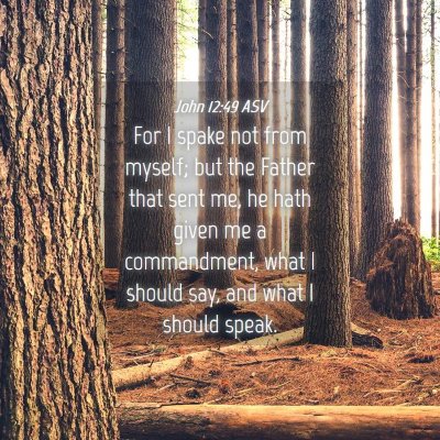 Picture 04 - John 12:49 ASV - For I spake not from myself; but the Father that - Bible Verse Picture