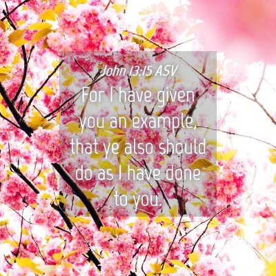 Picture 04 - John 13:15 ASV - For I have given you an example, that ye also - Bible Verse Picture