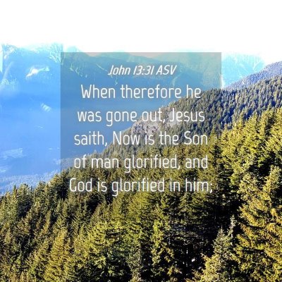Picture 04 - John 13:31 ASV - When therefore he was gone out, Jesus saith, Now - Bible Verse Picture