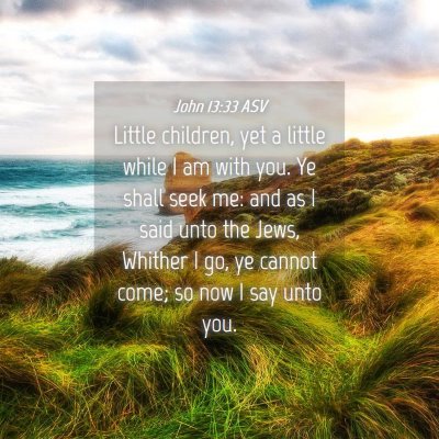 Picture 04 - John 13:33 ASV - Little children, yet a little while I am with - Bible Verse Picture
