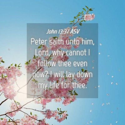 Picture 04 - John 13:37 ASV - Peter saith unto him, Lord, why cannot I follow - Bible Verse Picture