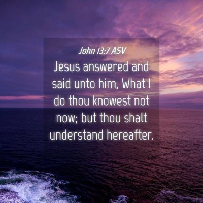 Picture 04 - John 13:7 ASV - Jesus answered and said unto him, What I do thou - Bible Verse Picture