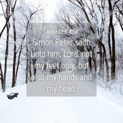 Picture 04 - John 13:9 ASV - Simon Peter saith unto him, Lord, not my feet - Bible Verse Picture