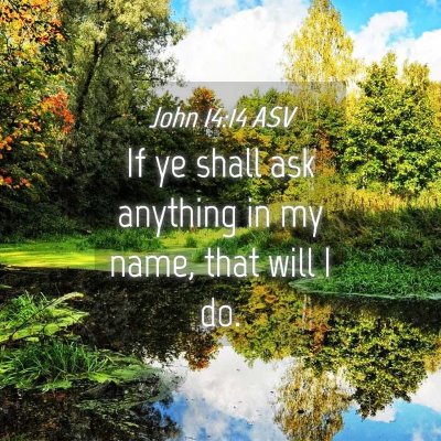 Picture 04 - John 14:14 ASV - If ye shall ask anything in my name, that will I - Bible Verse Picture
