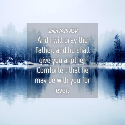 Picture 04 - John 14:16 ASV - And I will pray the Father, and he shall give you - Bible Verse Picture