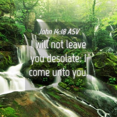Picture 04 - John 14:18 ASV - I will not leave you desolate: I come unto - Bible Verse Picture