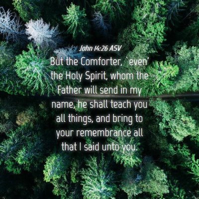 Picture 04 - John 14:26 ASV - But the Comforter, `even' the Holy Spirit, whom - Bible Verse Picture