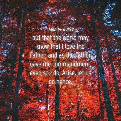 Picture 04 - John 14:31 ASV - but that the world may know that I love the - Bible Verse Picture