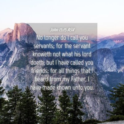 Picture 04 - John 15:15 ASV - No longer do I call you servants; for the servant - Bible Verse Picture