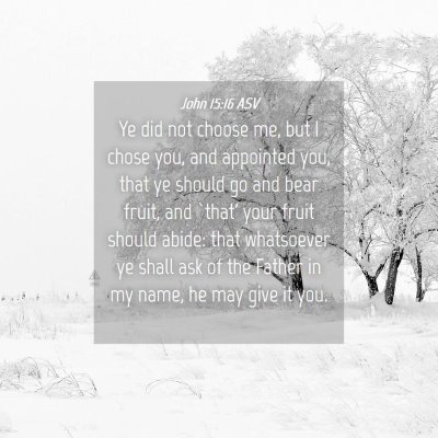 Picture 04 - John 15:16 ASV - Ye did not choose me, but I chose you, and - Bible Verse Picture