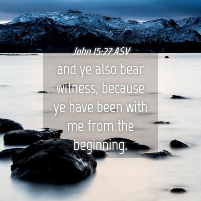 Picture 04 - John 15:27 ASV - and ye also bear witness, because ye have been - Bible Verse Picture