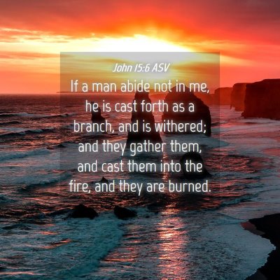 Picture 04 - John 15:6 ASV - If a man abide not in me, he is cast forth as a - Bible Verse Picture