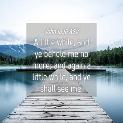 Picture 04 - John 16:16 ASV - A little while, and ye behold me no more; and - Bible Verse Picture