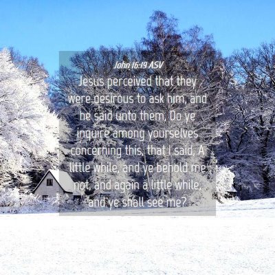 Picture 04 - John 16:19 ASV - Jesus perceived that they were desirous to ask - Bible Verse Picture