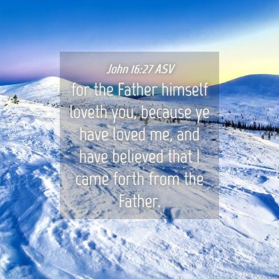 Picture 04 - John 16:27 ASV - for the Father himself loveth you, because ye - Bible Verse Picture
