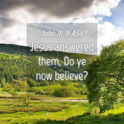 Picture 04 - John 16:31 ASV - Jesus answered them, Do ye now - Bible Verse Picture