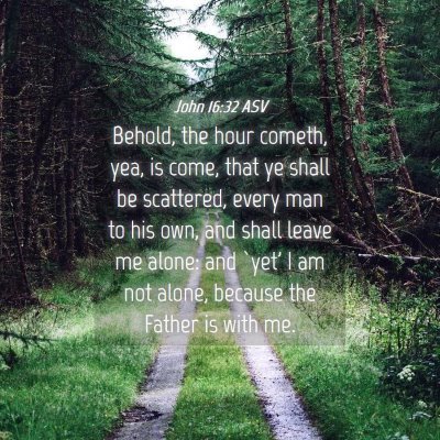 Picture 04 - John 16:32 ASV - Behold, the hour cometh, yea, is come, that ye - Bible Verse Picture