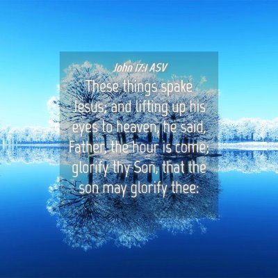 Picture 04 - John 17:1 ASV - These things spake Jesus; and lifting up his eyes - Bible Verse Picture