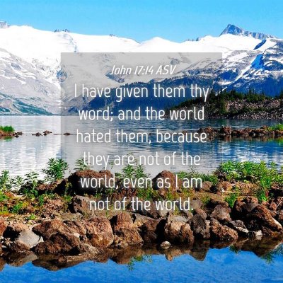 Picture 04 - John 17:14 ASV - I have given them thy word; and the world hated - Bible Verse Picture