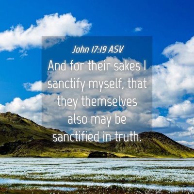Picture 04 - John 17:19 ASV - And for their sakes I sanctify myself, that they - Bible Verse Picture