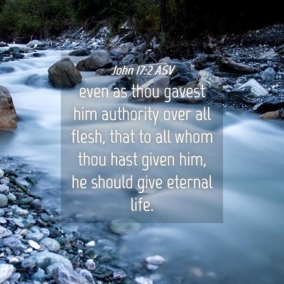 Picture 04 - John 17:2 ASV - even as thou gavest him authority over all flesh, - Bible Verse Picture