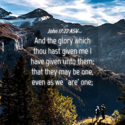 Picture 04 - John 17:22 ASV - And the glory which thou hast given me I have - Bible Verse Picture