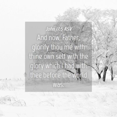 Picture 04 - John 17:5 ASV - And now, Father, glorify thou me with thine own - Bible Verse Picture