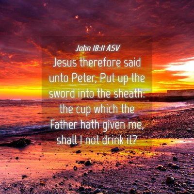 Picture 04 - John 18:11 ASV - Jesus therefore said unto Peter, Put up the sword - Bible Verse Picture