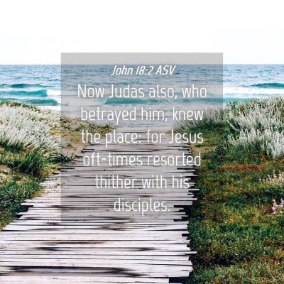 Picture 04 - John 18:2 ASV - Now Judas also, who betrayed him, knew the place: - Bible Verse Picture