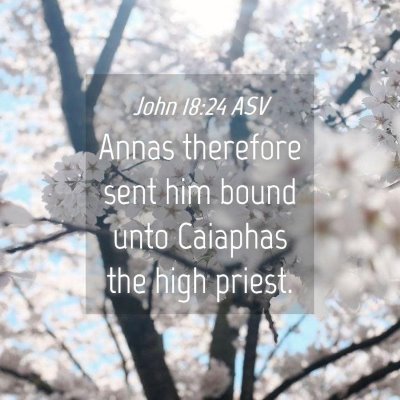Picture 04 - John 18:24 ASV - Annas therefore sent him bound unto Caiaphas the - Bible Verse Picture