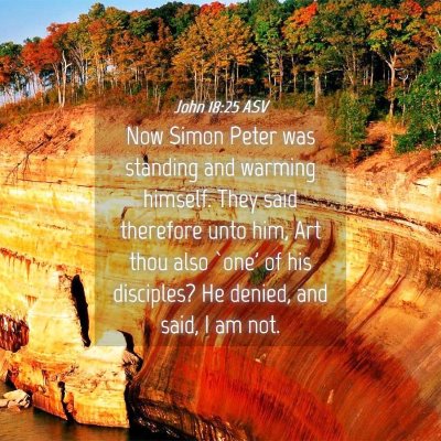Picture 04 - John 18:25 ASV - Now Simon Peter was standing and warming himself. - Bible Verse Picture
