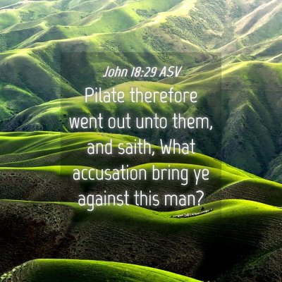 Picture 04 - John 18:29 ASV - Pilate therefore went out unto them, and saith, - Bible Verse Picture