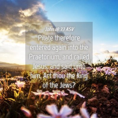 Picture 04 - John 18:33 ASV - Pilate therefore entered again into the - Bible Verse Picture