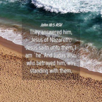 Picture 04 - John 18:5 ASV - They answered him, Jesus of Nazareth. Jesus saith - Bible Verse Picture