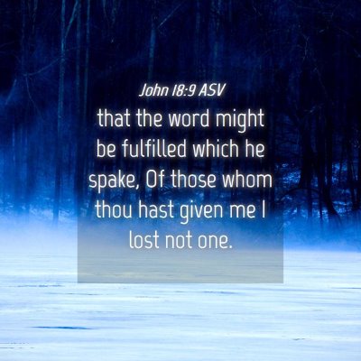 Picture 04 - John 18:9 ASV - that the word might be fulfilled which he spake, - Bible Verse Picture