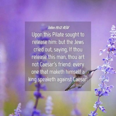 Picture 04 - John 19:12 ASV - Upon this Pilate sought to release him: but the - Bible Verse Picture