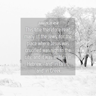 Picture 04 - John 19:20 ASV - This title therefore read many of the Jews, for - Bible Verse Picture